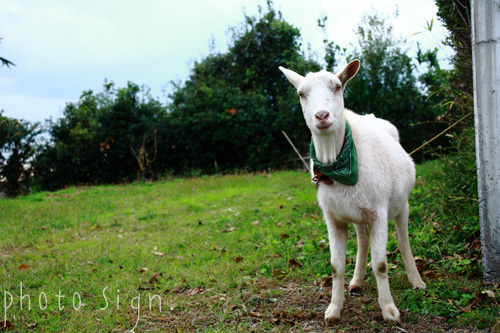 Free HTML5 Bootstrap Template by FreeHTML5.co