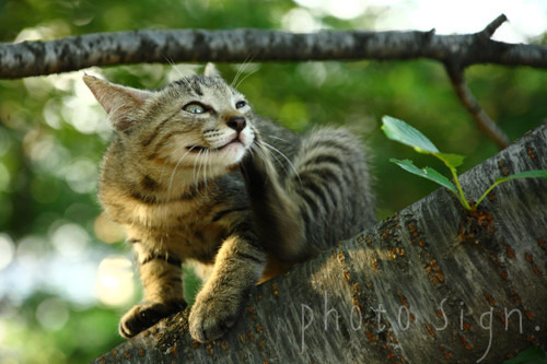 Free HTML5 Bootstrap Template by FreeHTML5.co