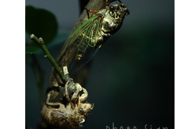 Free HTML5 Bootstrap Template by FreeHTML5.co