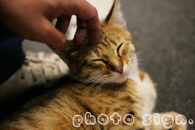 Free HTML5 Bootstrap Template by FreeHTML5.co