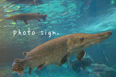 Free HTML5 Bootstrap Template by FreeHTML5.co