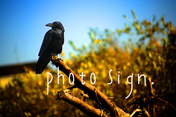 Free HTML5 Bootstrap Template by FreeHTML5.co