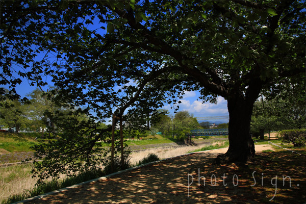 Free HTML5 Bootstrap Template by FreeHTML5.co