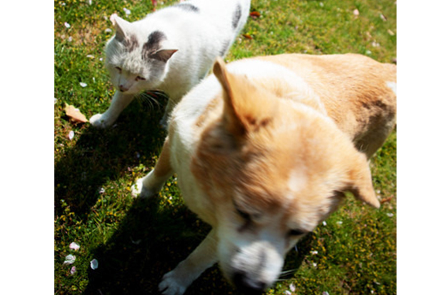 Free HTML5 Bootstrap Template by FreeHTML5.co