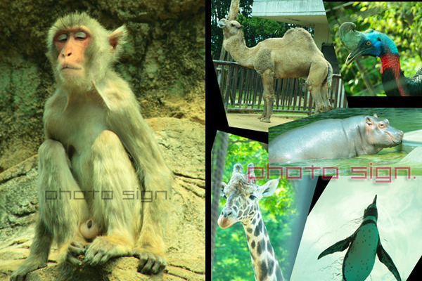 Free HTML5 Bootstrap Template by FreeHTML5.co