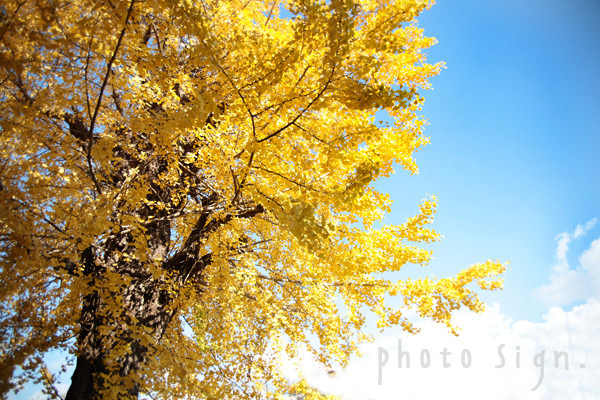 Free HTML5 Bootstrap Template by FreeHTML5.co