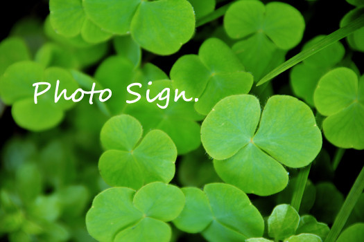 Free HTML5 Bootstrap Template by FreeHTML5.co