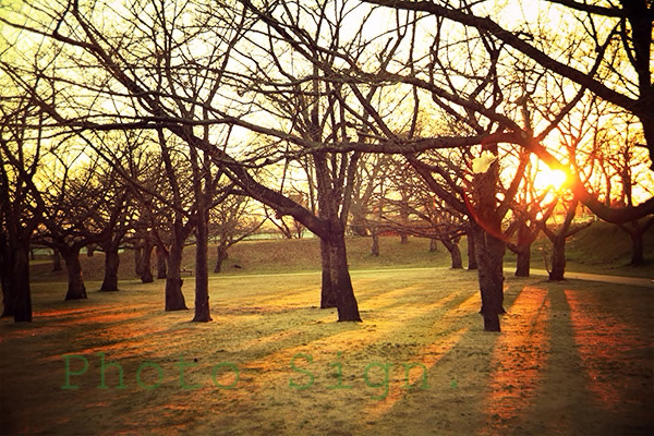 Free HTML5 Bootstrap Template by FreeHTML5.co