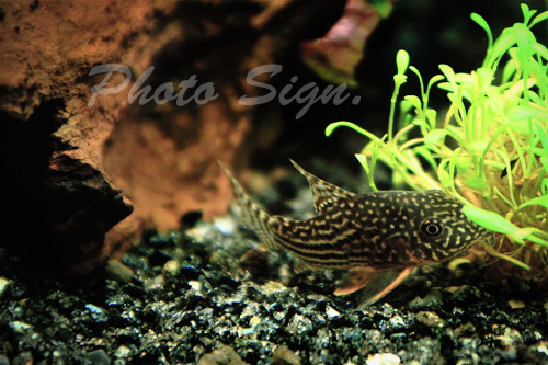 Free HTML5 Bootstrap Template by FreeHTML5.co