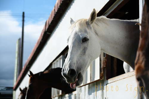 Free HTML5 Bootstrap Template by FreeHTML5.co